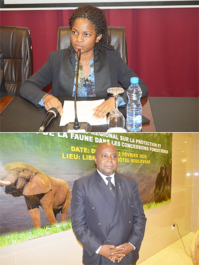 Bassin du Congo : Comment concilier exploitation forestière et protection de la faune ?
