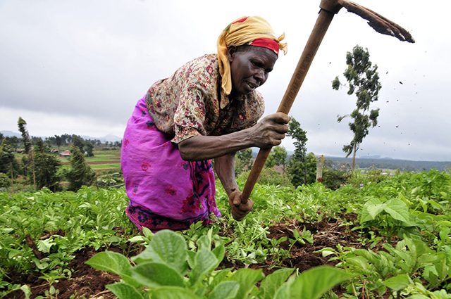 Programme Graine : Bientôt de l’argent de la BAD pour le Gabon