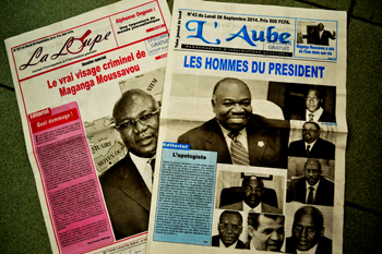 Les spécimens de contrebande de «La Loupe» et «L’Aube», début septembre 2014. © Gabonreview