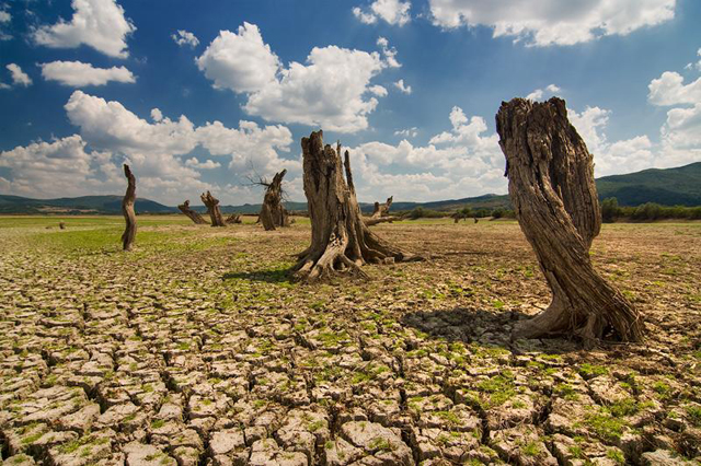 Marche pour le climat : à vos marques, prêts…