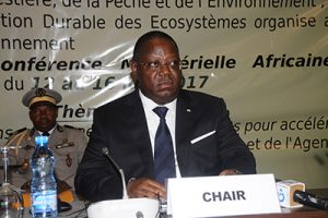 16e session de la CMAE : Le Gabon porté à la tête de l’instance