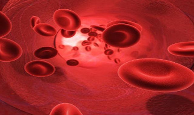 Barrer la route à de nouveaux cas de drépanocytose au Gabon