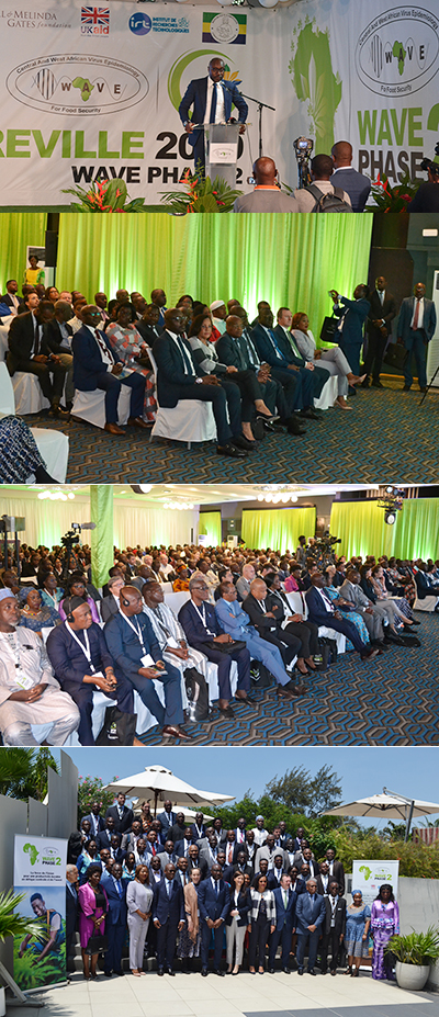 Programme Wave : La 2e phase lancée ce 6 novembre à Libreville