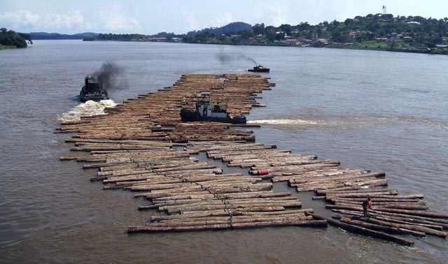 Ogooué Lambaréné Transport grumes